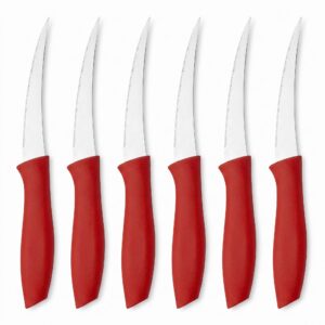 Kırmızı saplı tırtıklı meyve bıçağı 6'lı 22 cm