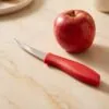 Kırmızı saplı tırtıklı meyve bıçağı 6'lı 22 cm