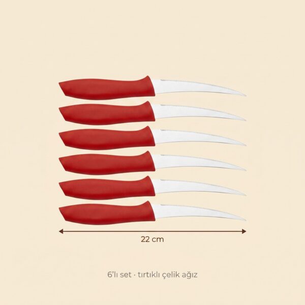 Kırmızı saplı tırtıklı meyve bıçağı 6'lı 22 cm