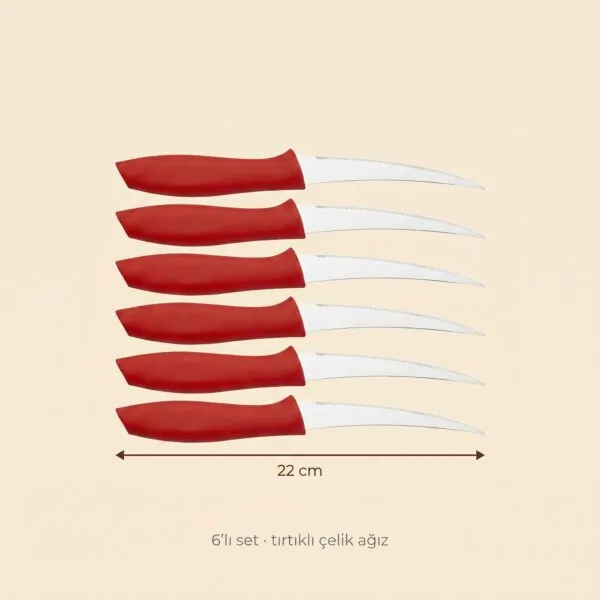 Kırmızı saplı tırtıklı meyve bıçağı 6'lı 22 cm