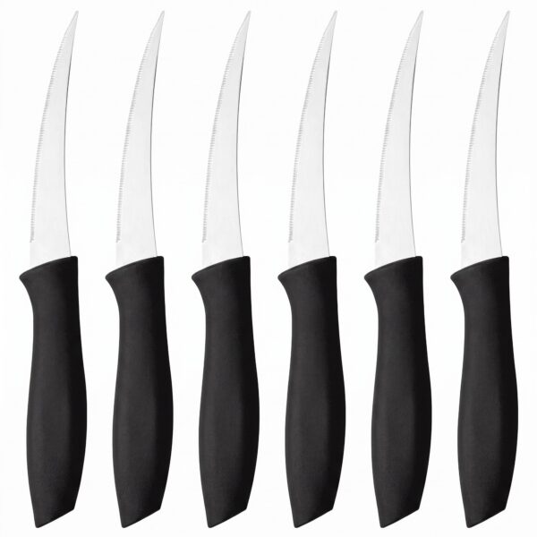 Siyah saplı tırtıklı meyve bıçağı 6'lı 22 cm