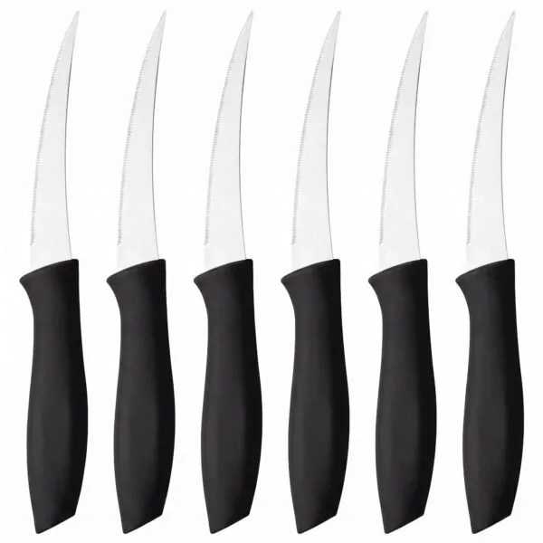 Siyah saplı tırtıklı meyve bıçağı 6'lı 22 cm